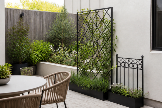 Black metal garden trellis with climbing plants used as a light privacy screen on an Australian patio