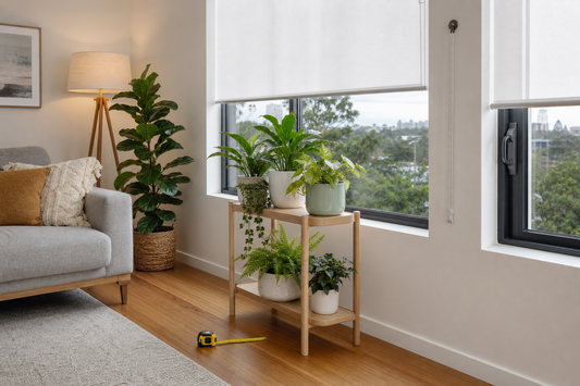 Wooden plant stand beside a window with roller blinds and a tape measure on the floor