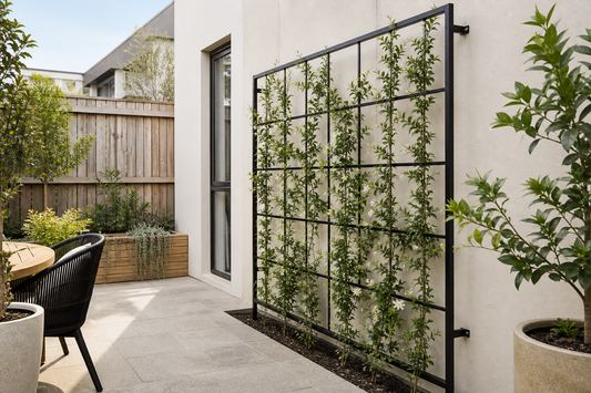 Black metal garden trellis spaced off a patio wall with climbing plants