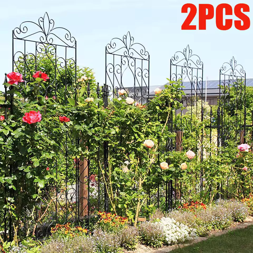 Two tall decorative black metal garden trellises with climbing rose bushes in full bloom.