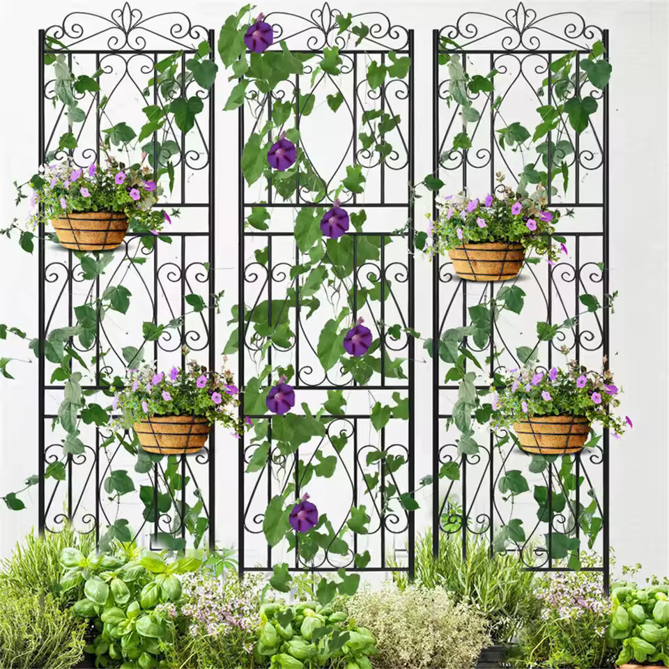 Three black metal garden trellises with climbing purple flowers and wall planter baskets.