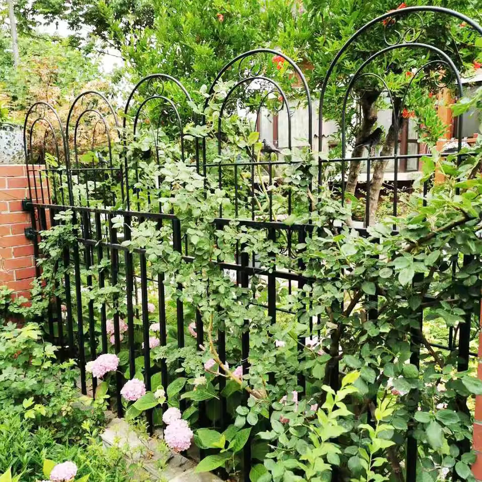 Black metal arched garden trellis panels lined up as a decorative fence with leafy climbing plants.