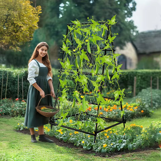 Woman holding a basket beside an A-frame garden trellis supporting climbing cucumber vines.