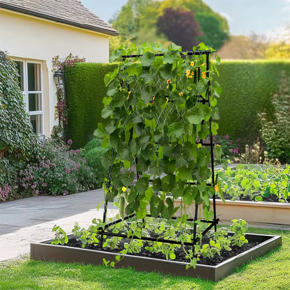 A-frame garden trellis covered in climbing cucumber vines inside a raised garden bed.