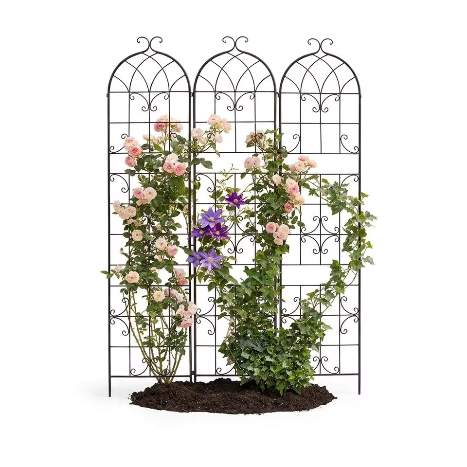 3 arched black metal garden trellis panels with climbing pink roses and purple clematis.