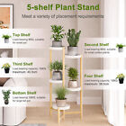 5 Tiers Plant Holder