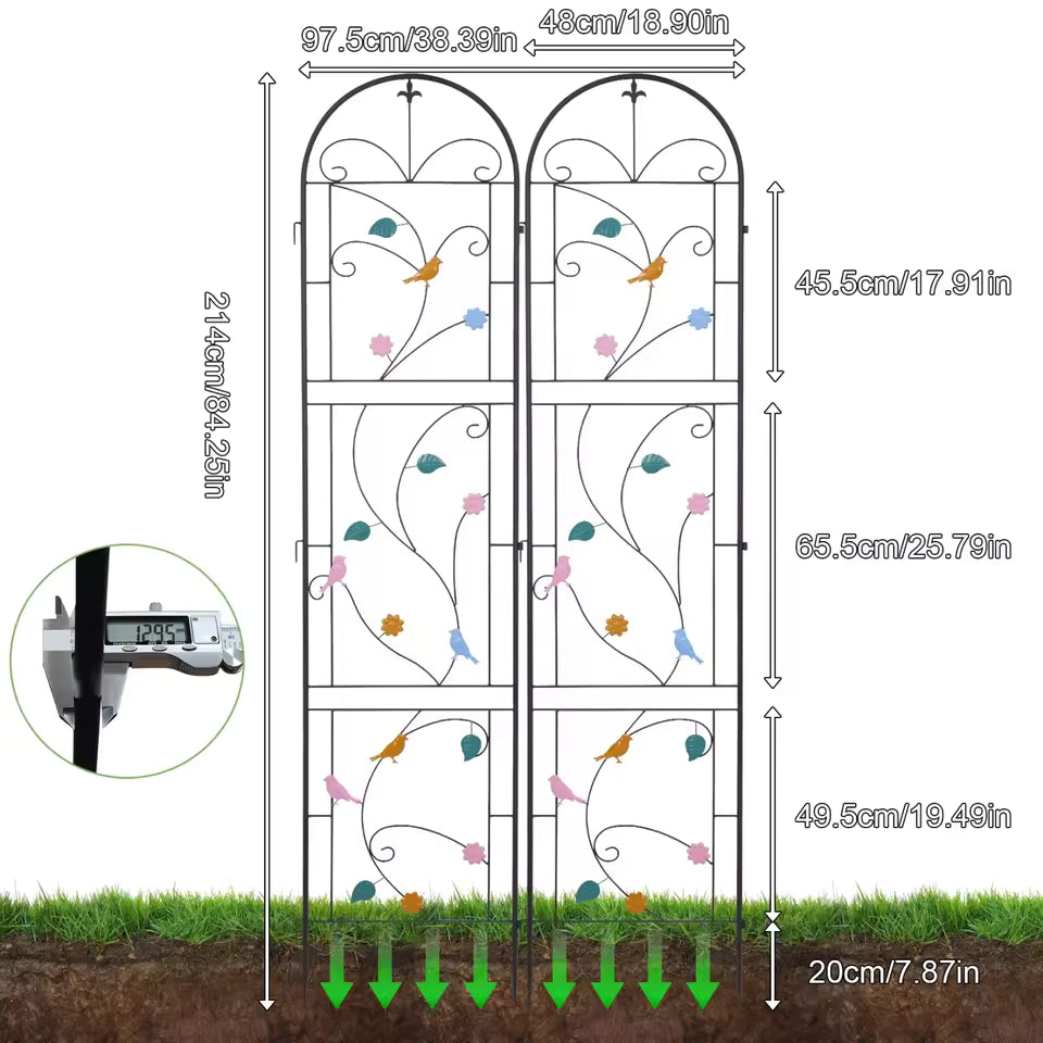 Dual-panel arched metal garden trellis with colorful bird accents and detailed measurement specs.