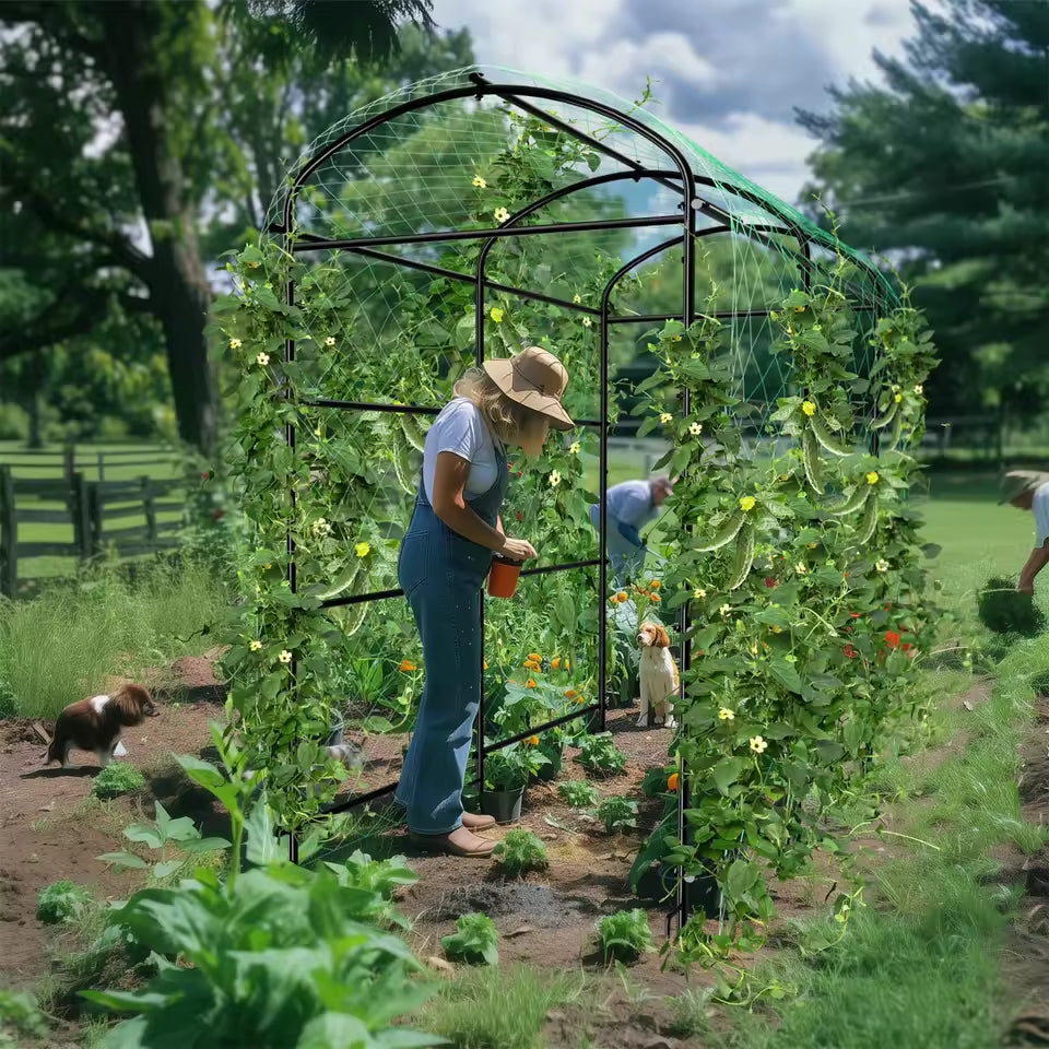 U-shaped metal garden trellis arch covered in netting and climbing plants with a gardener standing inside.