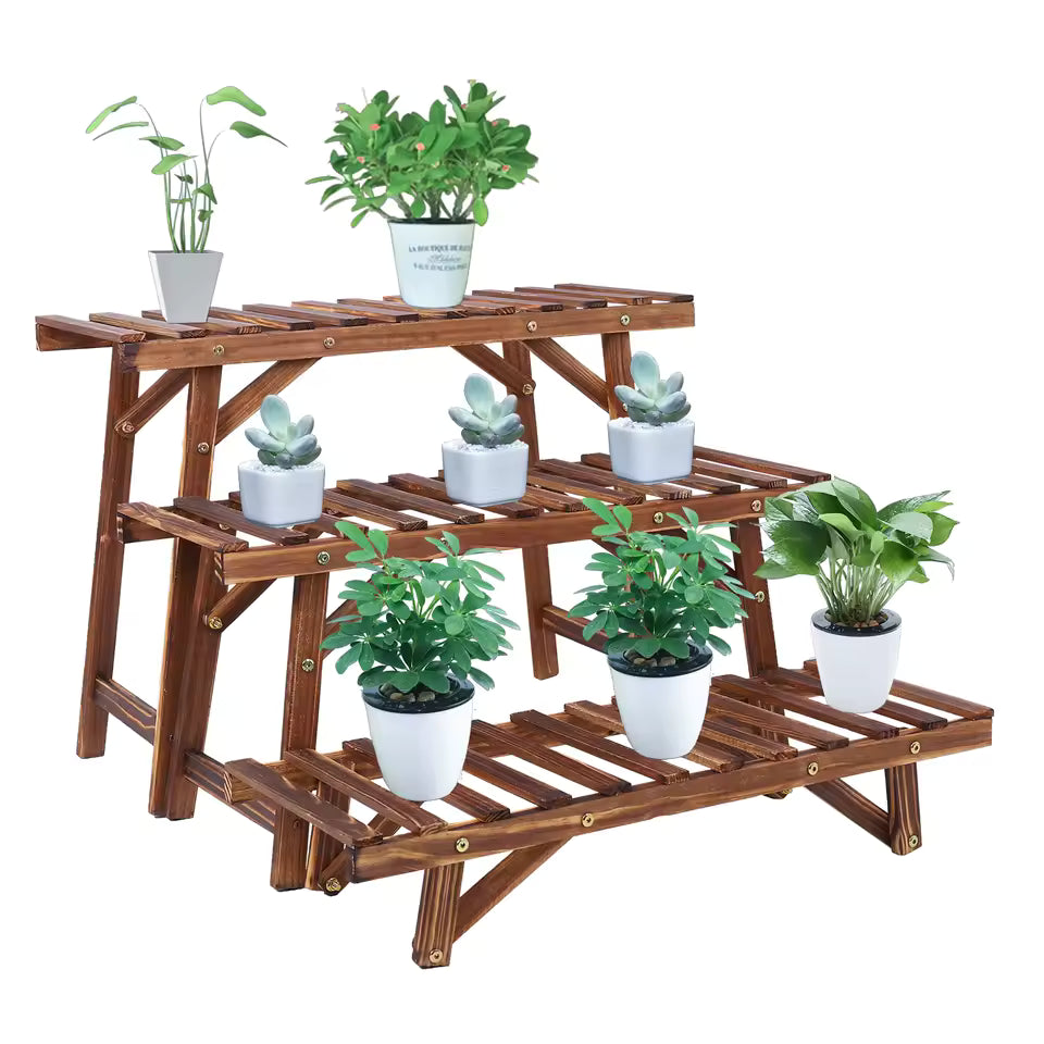Three-tier dark wood plant display rack holding small potted plants and succulents on white background.