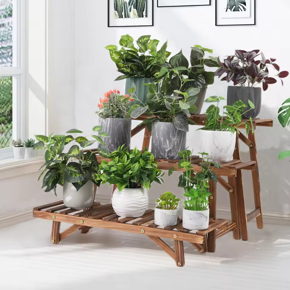 3-tier dark wood step plant stand displaying various potted green plants in a bright room.