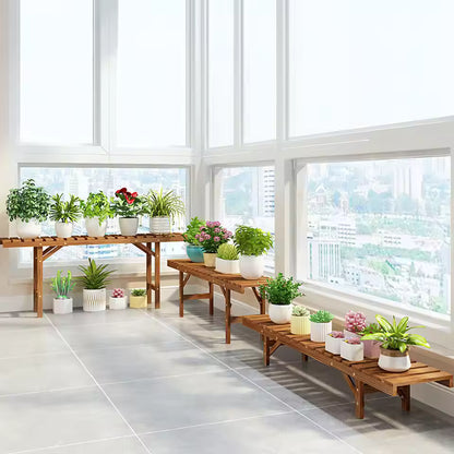 3-tiered wooden plant stand displaying potted plants along a bright, sunlit window.
